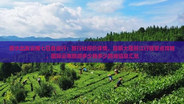 丽水出发云南七日自由行：旅行社报价详情，昆明大理丽江行程景点攻略，国际云南旅游多少钱多少路线信息汇总
