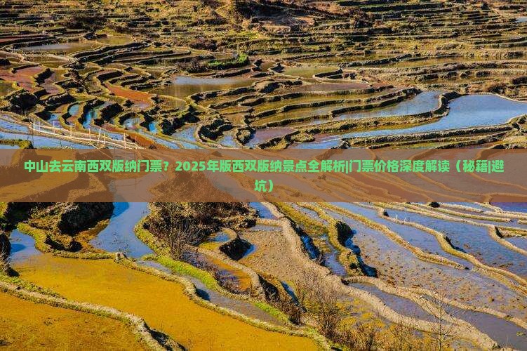 中山去云南西双版纳门票
