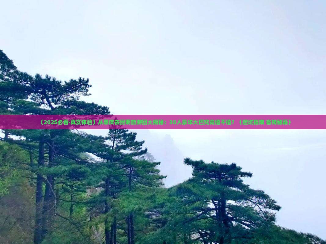 肇庆到云南昆明大型旅游团
