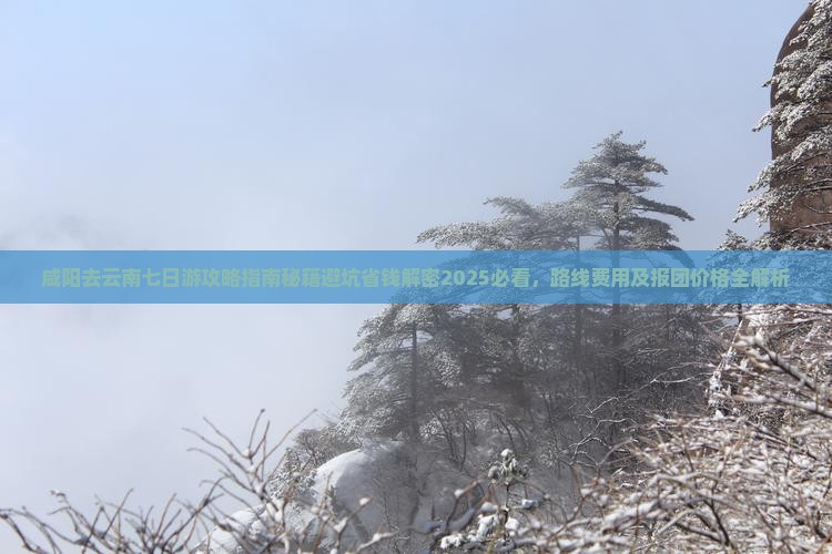 咸阳去云南七日游