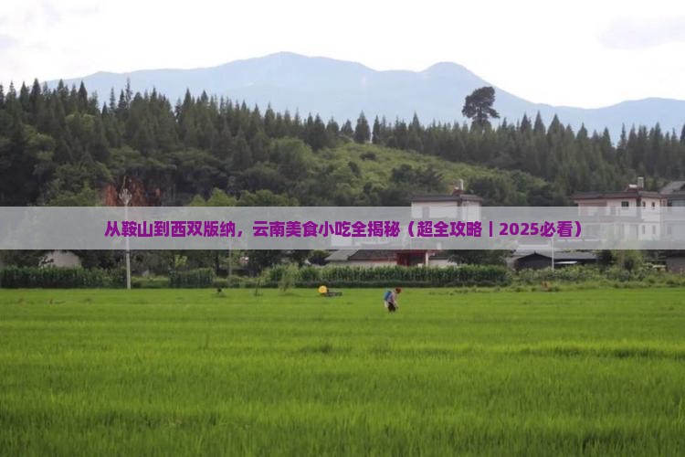 鞍山去云南西双版纳旅游小吃