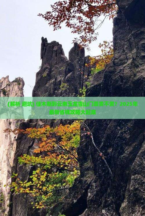 佳木斯到云南玉龙雪山门票