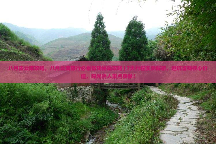 八月去云南攻略