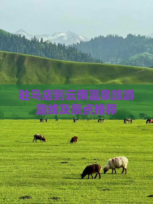 驻马店到云南温泉二日游