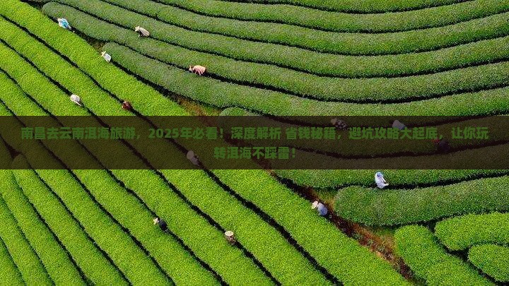 南昌去云南洱海旅游