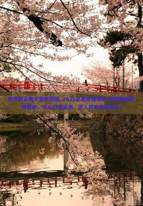 梅州到云南大型旅游团