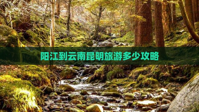 阳江到云南昆明旅行社