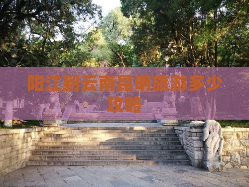 阳江到云南昆明旅行社