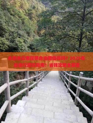 永新去云南昆明自由团