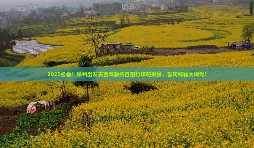 泉州去云南西双版纳自由团
