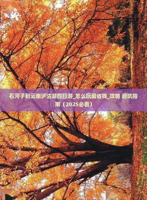 石河子到云南泸沽湖四日游