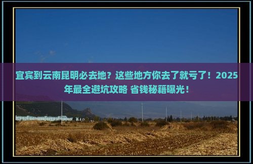 宜宾到云南昆明必去地