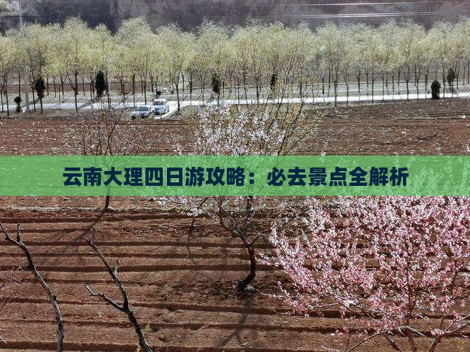 阿里去云南大理四日游