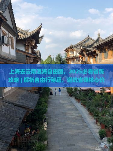 上海去云南洱海自由团
