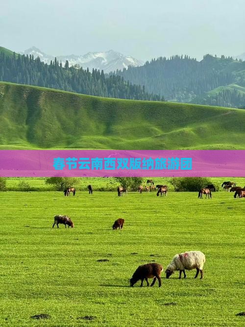 春节到云南西双版纳团体旅游