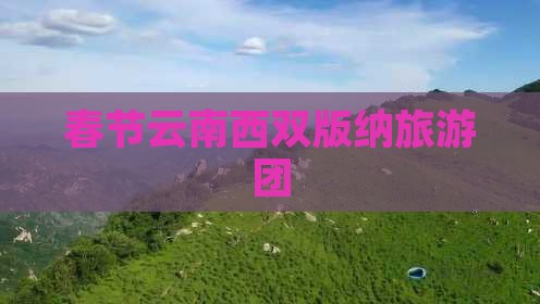 春节到云南西双版纳团体旅游
