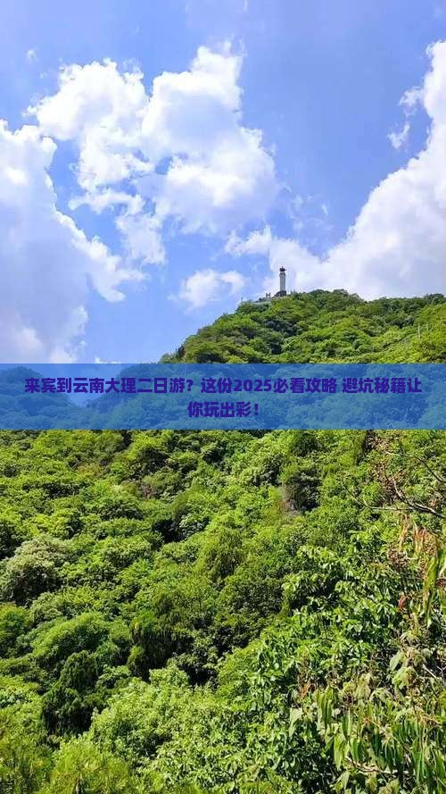 来宾到云南大理二日游