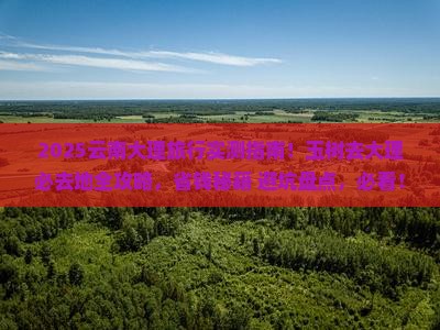 玉树去云南大理必去地