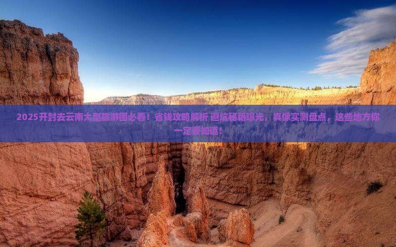 开封去云南大型旅游团