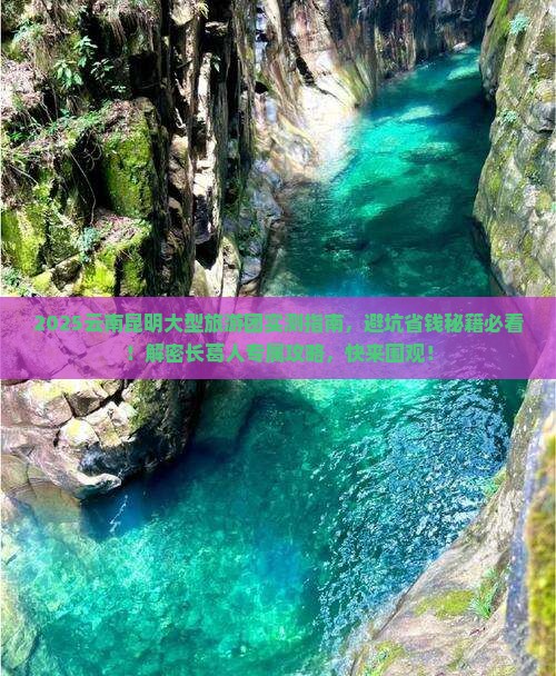长葛去云南昆明大型旅游团