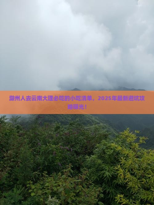 滁州去云南大理旅游小吃