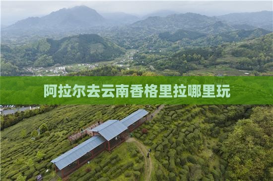 阿拉尔去云南香格里拉哪里玩