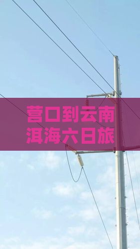 营口到云南洱海六日游