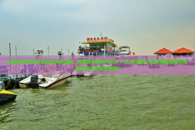 克孜勒苏柯尔克孜到云南洱海旅游小吃