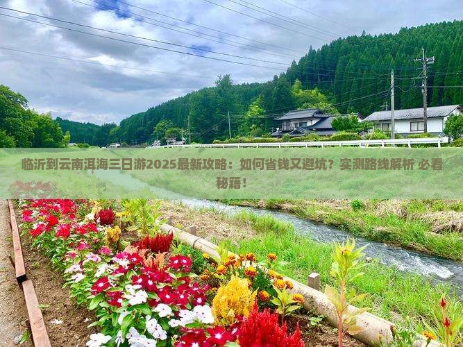 临沂到云南洱海三日游