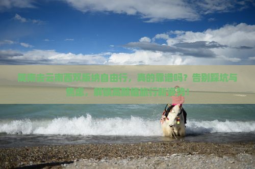 陇南去云南西双版纳自由行