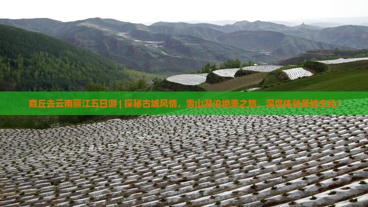 商丘去云南丽江五日游