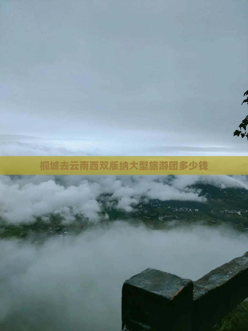 桐城去云南西双版纳大型旅游团