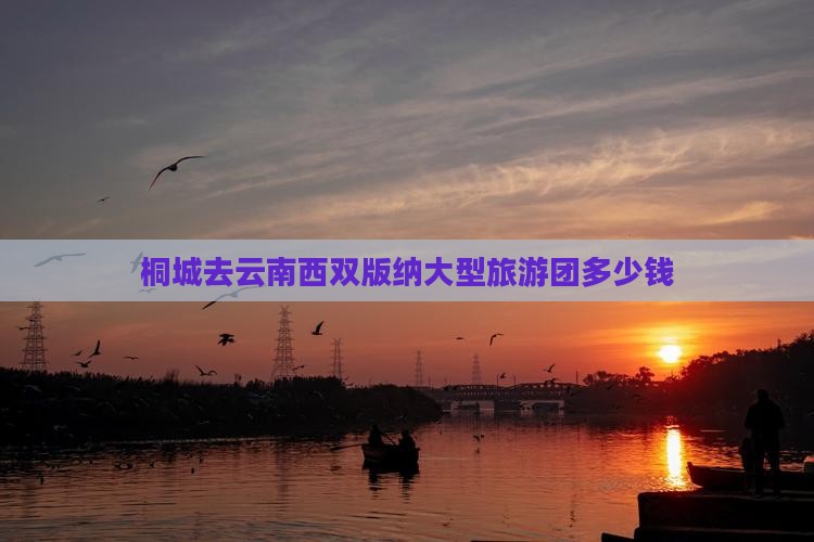 桐城去云南西双版纳大型旅游团