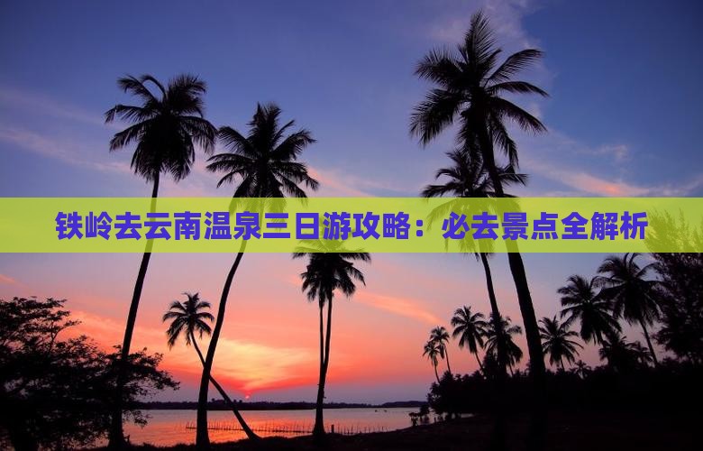 铁岭去云南温泉三日游