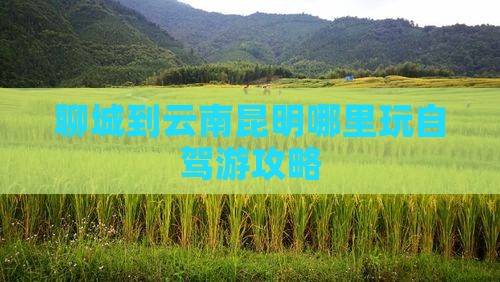 聊城到云南昆明哪里玩
