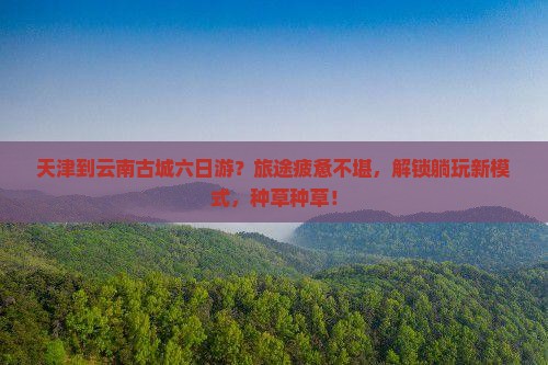 天津到云南古城六日游
