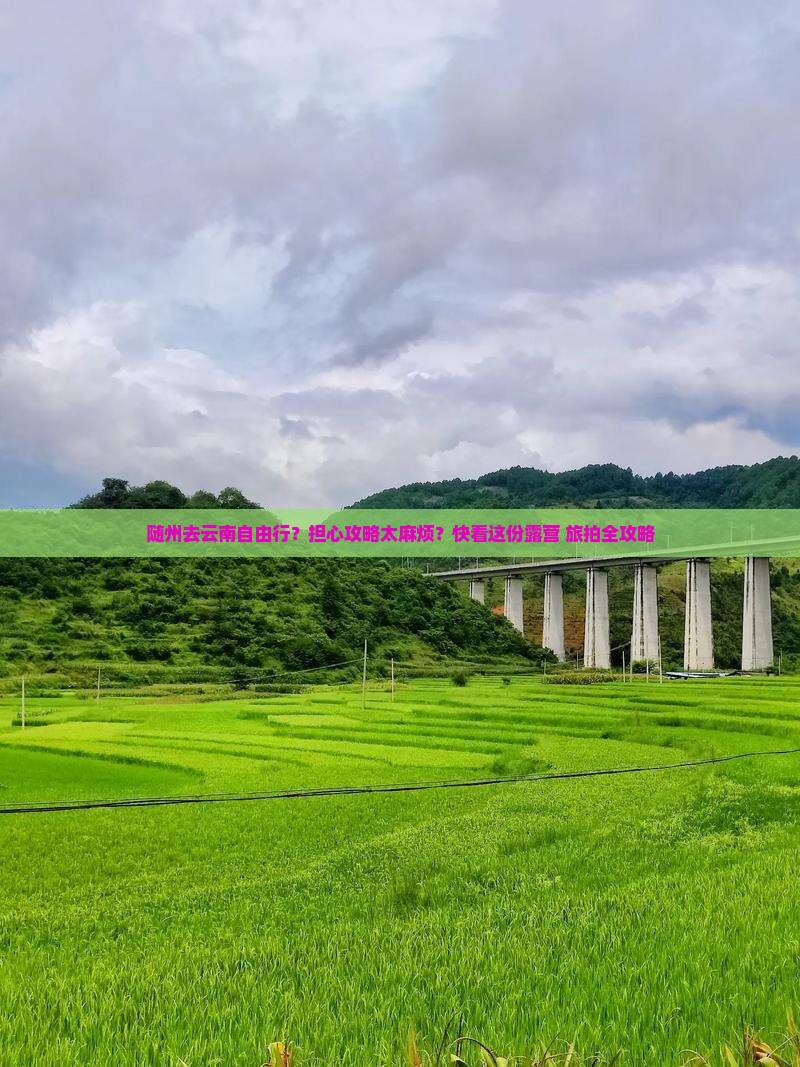 随州去云南自由行