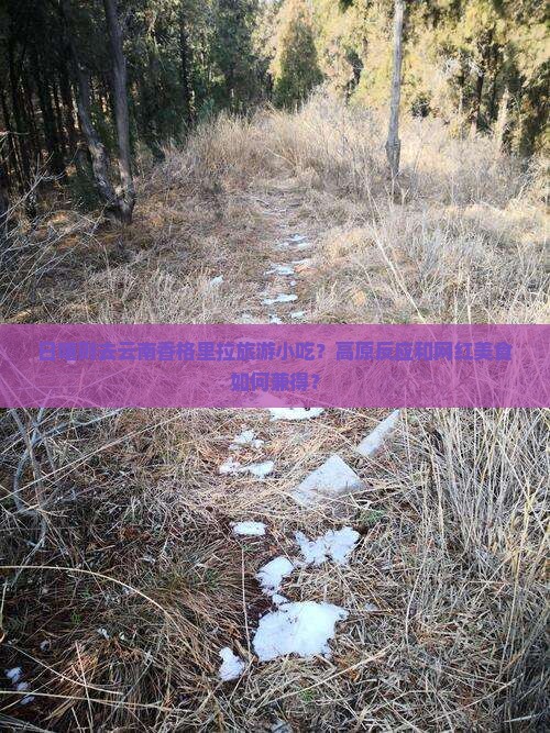 日喀则去云南香格里拉旅游小吃 日喀则去云南香格里拉旅游小吃