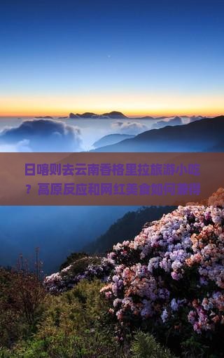 日喀则去云南香格里拉旅游小吃 日喀则去云南香格里拉旅游小吃