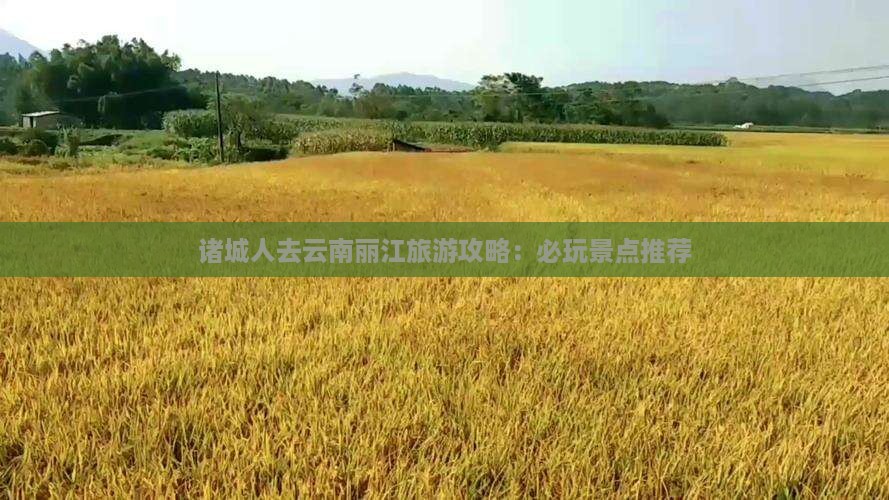 诸城到云南丽江哪里玩