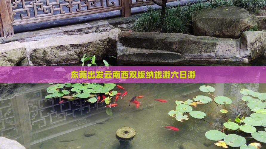 东莞去云南西双版纳六日游