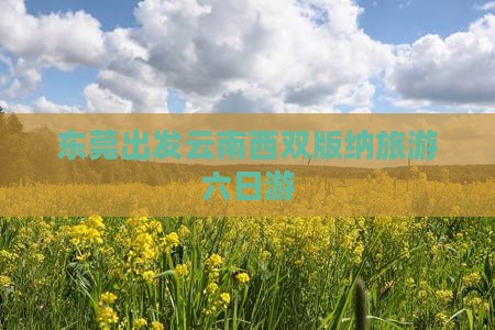 东莞去云南西双版纳六日游