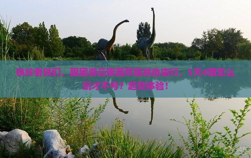 铁岭到云南西双版纳自由团