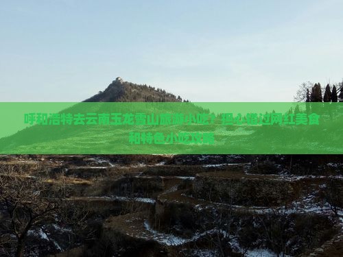 呼和浩特去云南玉龙雪山旅游小吃