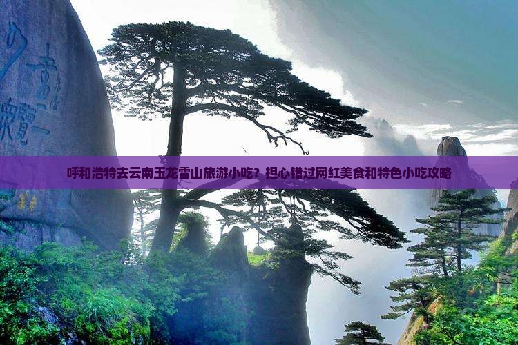 呼和浩特去云南玉龙雪山旅游小吃