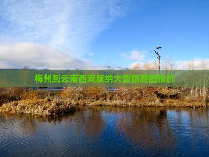 梅州到云南西双版纳大型旅游团