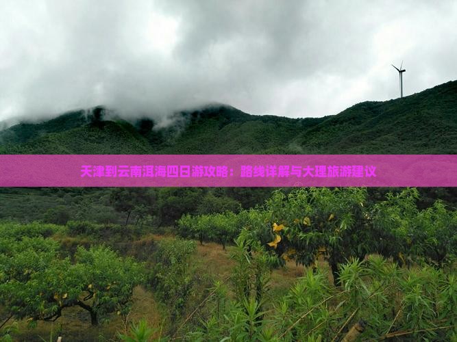 天津到云南洱海四日游