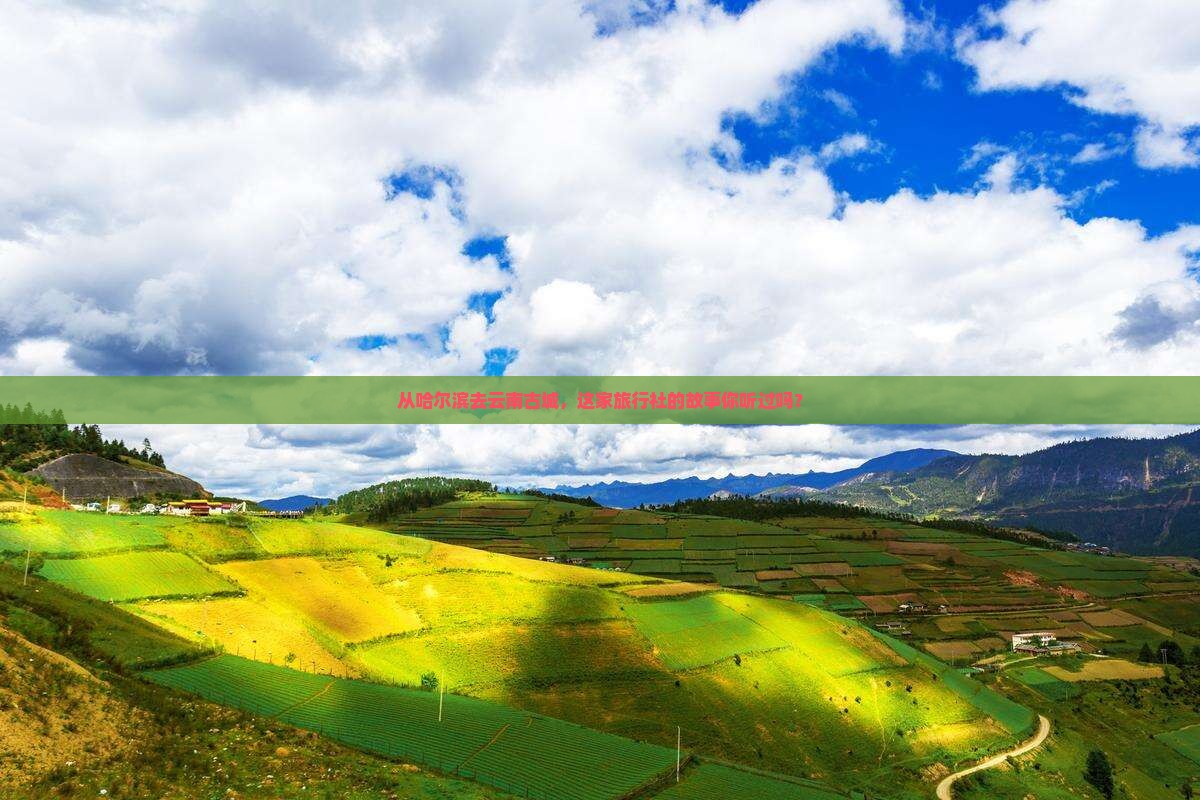 哈尔滨到云南古城旅行社