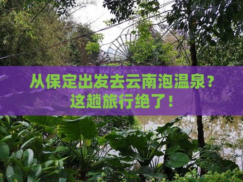 保定去云南温泉旅游