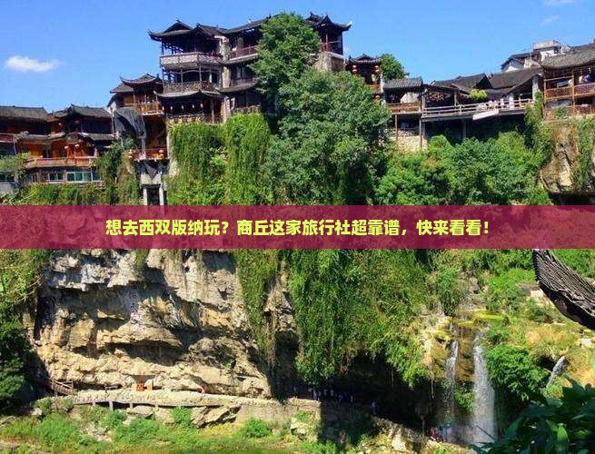 商丘去云南西双版纳旅行社